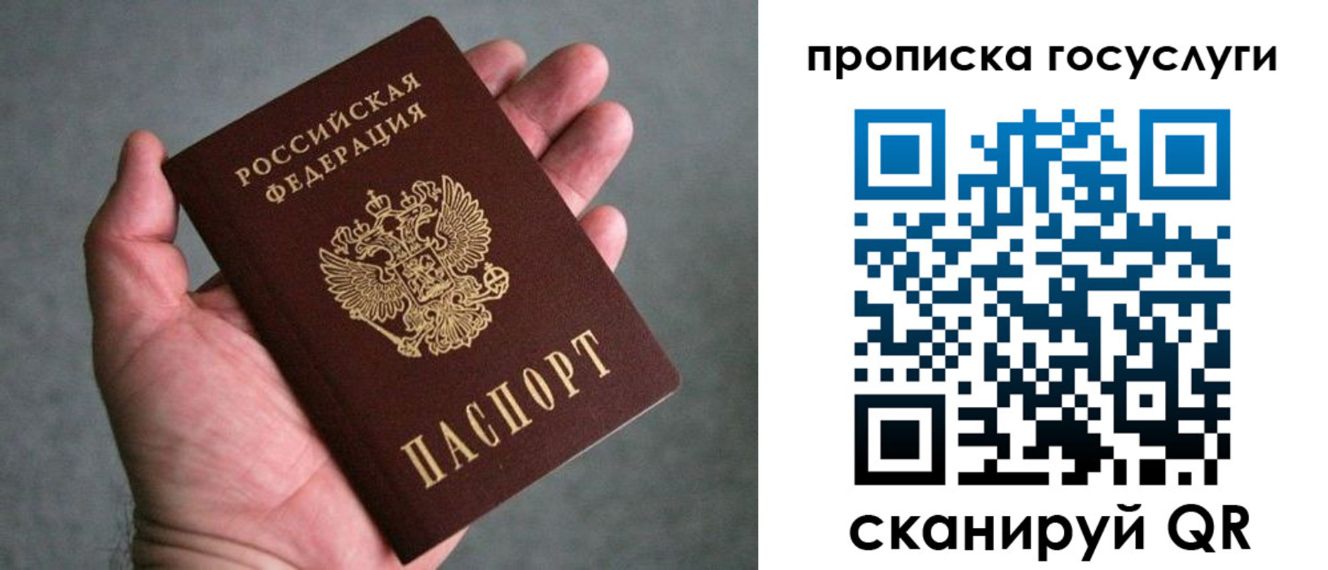 прописка 2025 в Краснозаводске